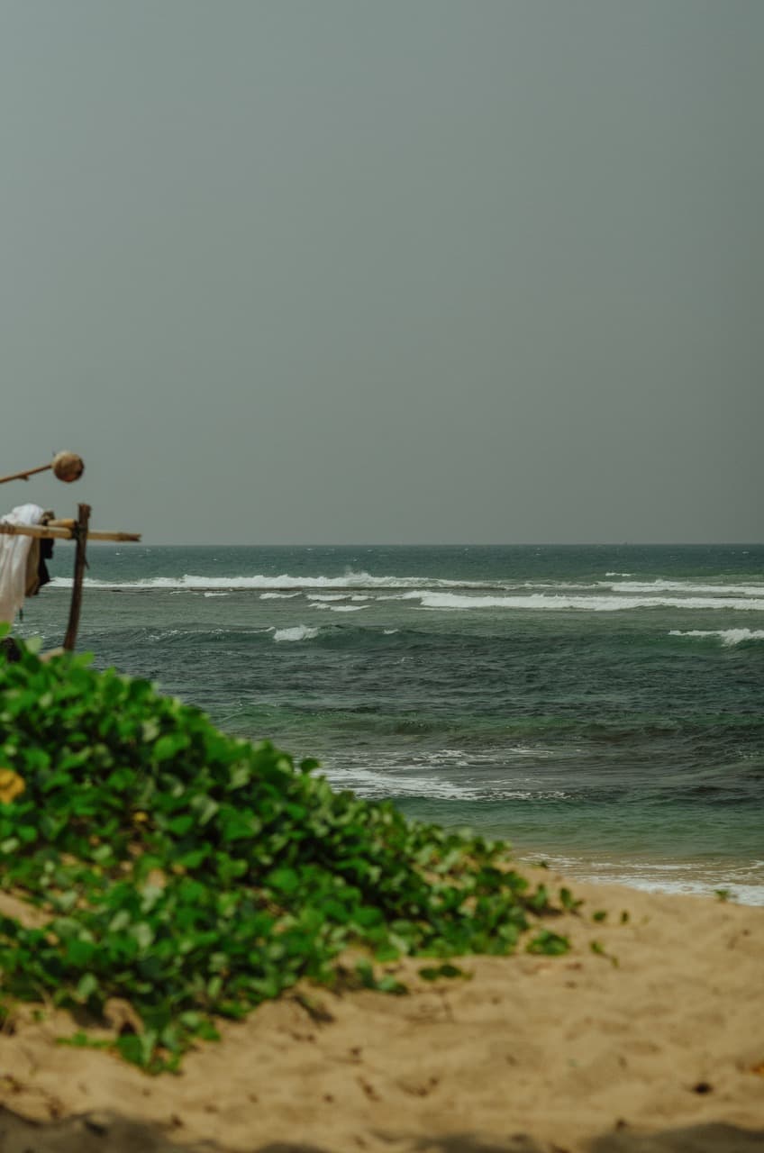 Превью Sri Lanka 2022